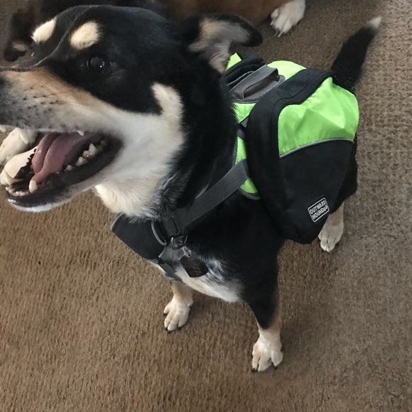 Other - Doggy Hiking Backpack, no wear